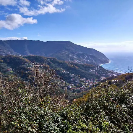 Apartamento Palima